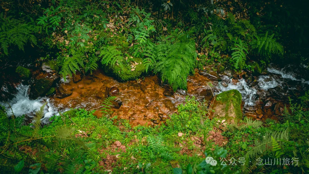 Accompanied by Cattle and Sheep: A Peaceful Hike in Tizipo Village, Weishan, Dali - Image 23