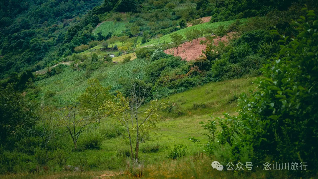 Accompanied by Cattle and Sheep: A Peaceful Hike in Tizipo Village, Weishan, Dali - Image 26