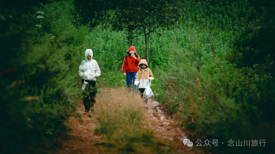 Accompanied by Cattle and Sheep: A Peaceful Hike in Tizipo Village, Weishan, Dali - Image 27