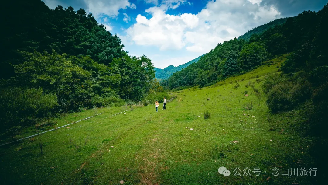 Accompanied by Cattle and Sheep: A Peaceful Hike in Tizipo Village, Weishan, Dali - Image 3