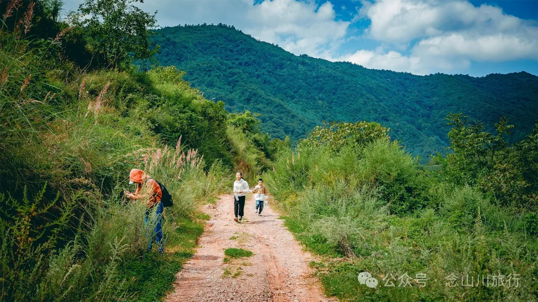 Accompanied by Cattle and Sheep: A Peaceful Hike in Tizipo Village, Weishan, Dali - Image 5