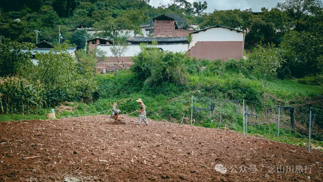 Accompanied by Cattle and Sheep: A Peaceful Hike in Tizipo Village, Weishan, Dali - Image 6