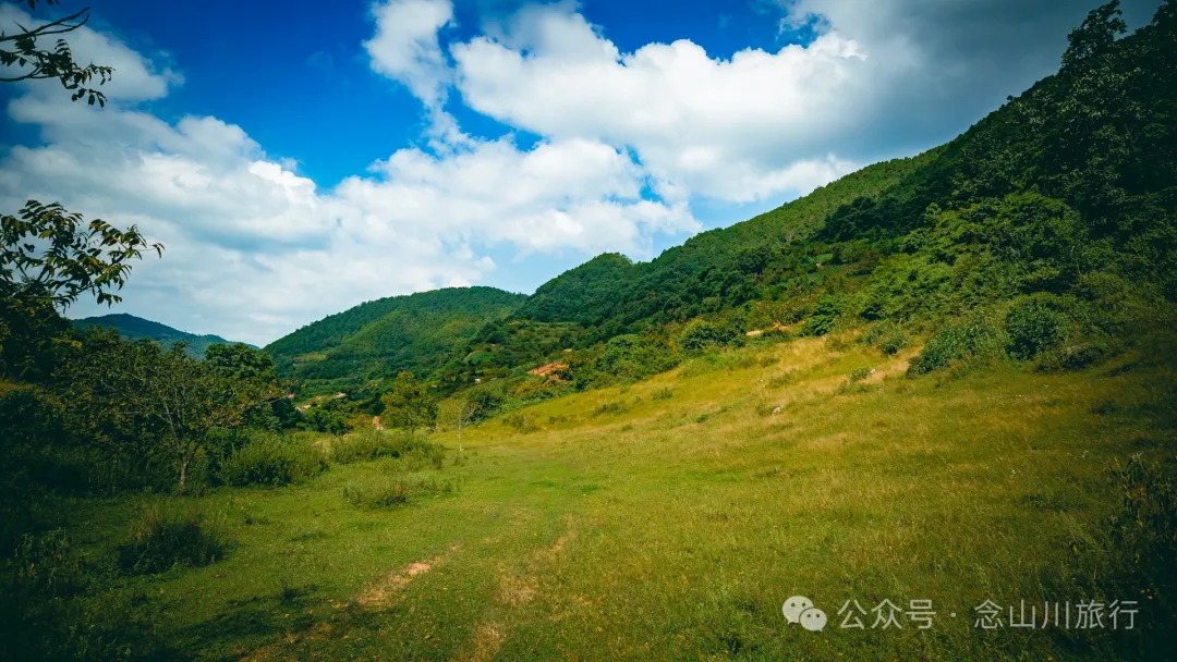 Accompanied by Cattle and Sheep: A Peaceful Hike in Tizipo Village, Weishan, Dali - Image 9