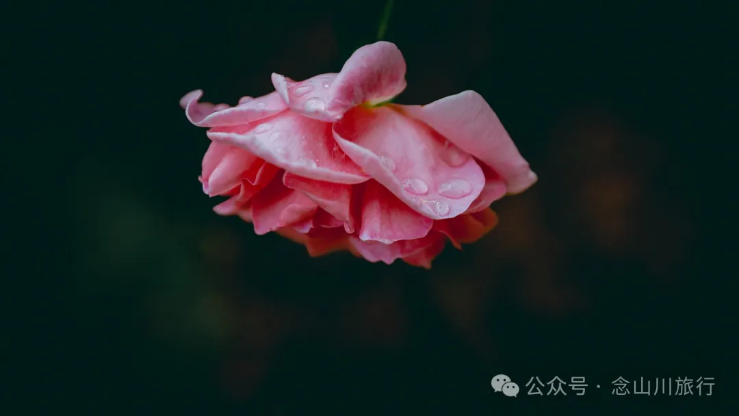 大理彌渡秘境：霧本村，探尋現實裡的「桃花源」 - 第16張