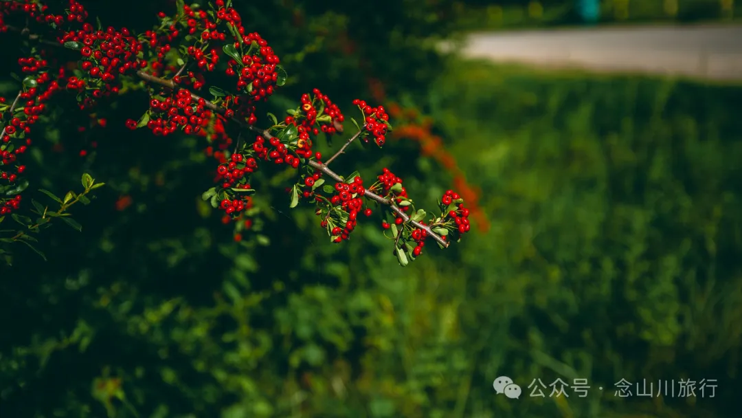 大理南涧无量药谷:无量山中的阿尔卑斯山小镇 - 第16张
