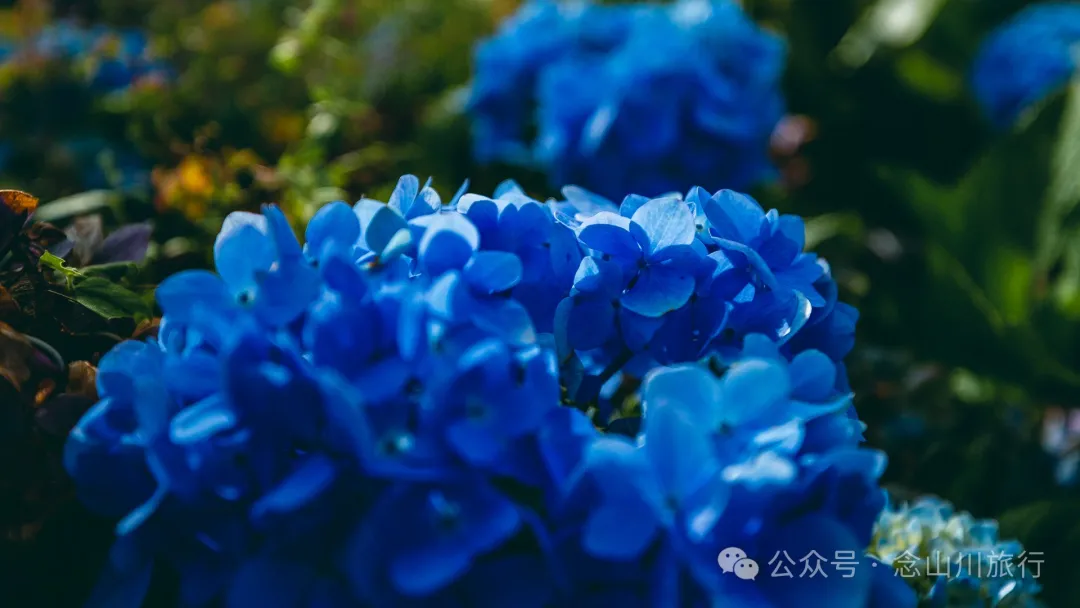 大理南涧无量药谷:无量山中的阿尔卑斯山小镇 - 第18张