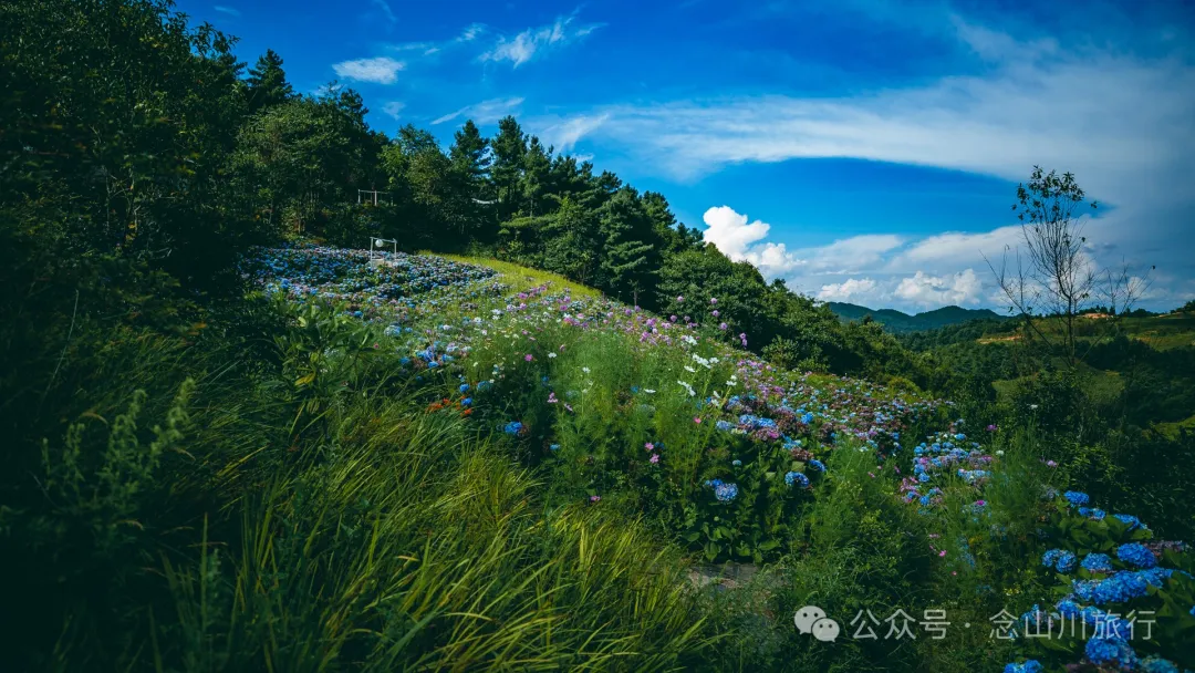 大理南涧无量药谷:无量山中的阿尔卑斯山小镇 - 第19张