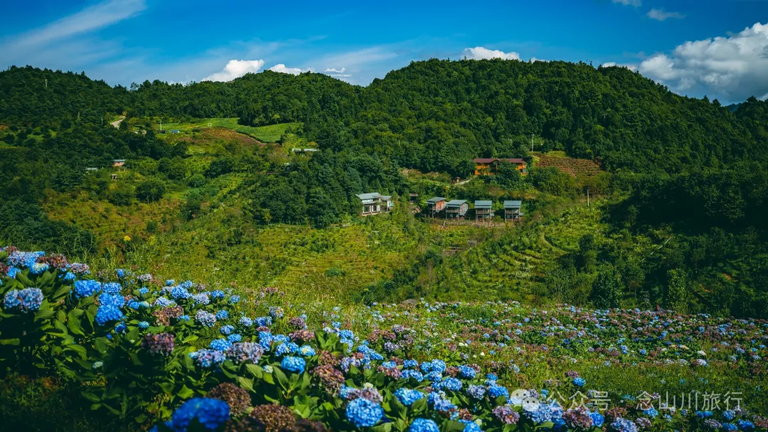 大理南涧无量药谷:无量山中的阿尔卑斯山小镇 - 第21张