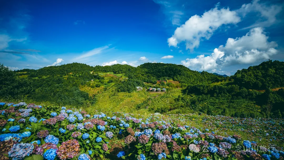 大理南涧无量药谷:无量山中的阿尔卑斯山小镇 - 第24张