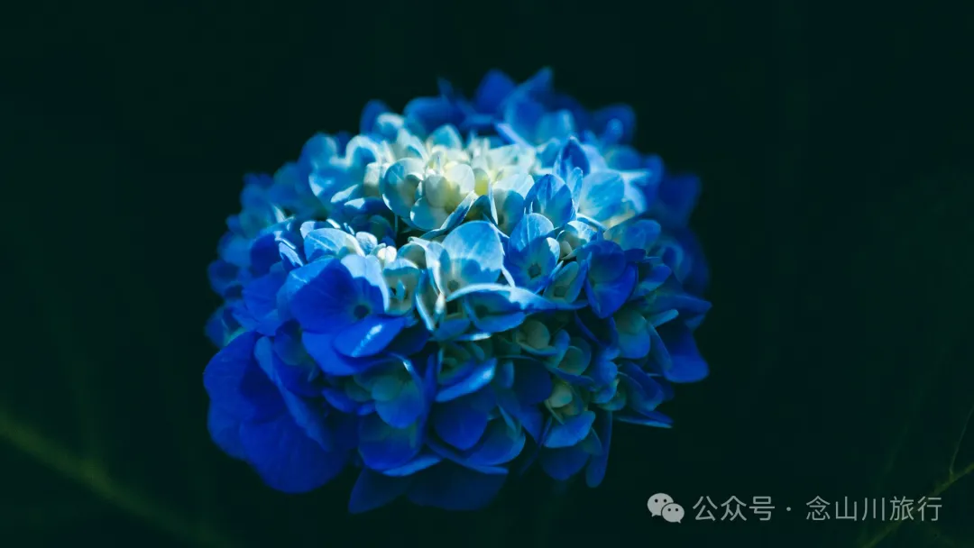 大理南涧无量药谷:无量山中的阿尔卑斯山小镇 - 第25张