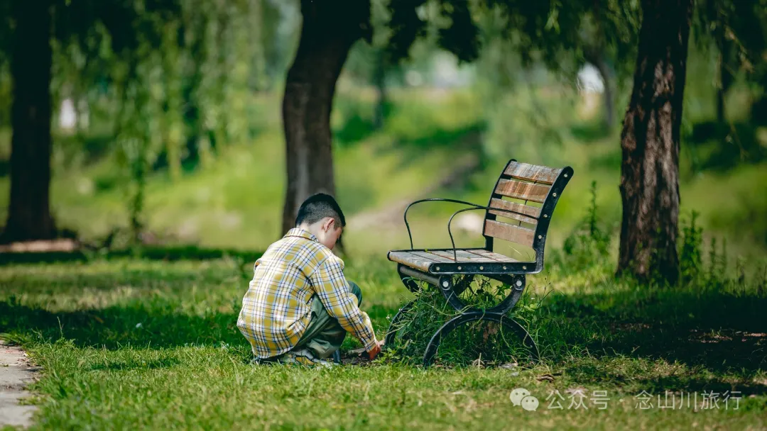 Tea Talk Under Willow Shade: An Afternoon Tea Time by the Xi River in Weishan Ancient Town, Dali - Image 13