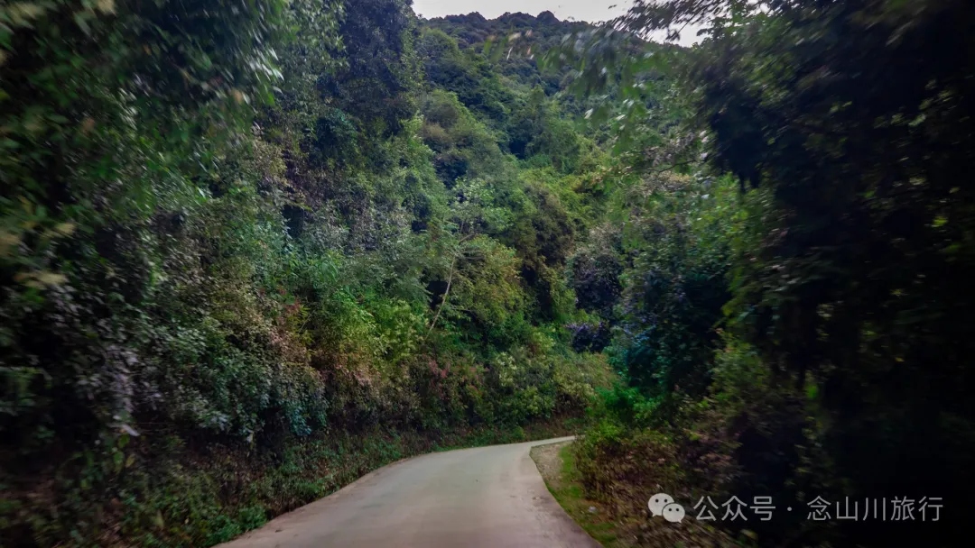 Bahuanhe Grassland: A Hidden Gem in Lincang Yun County, A New Pastoral Poem by the Lancang River - Image 11