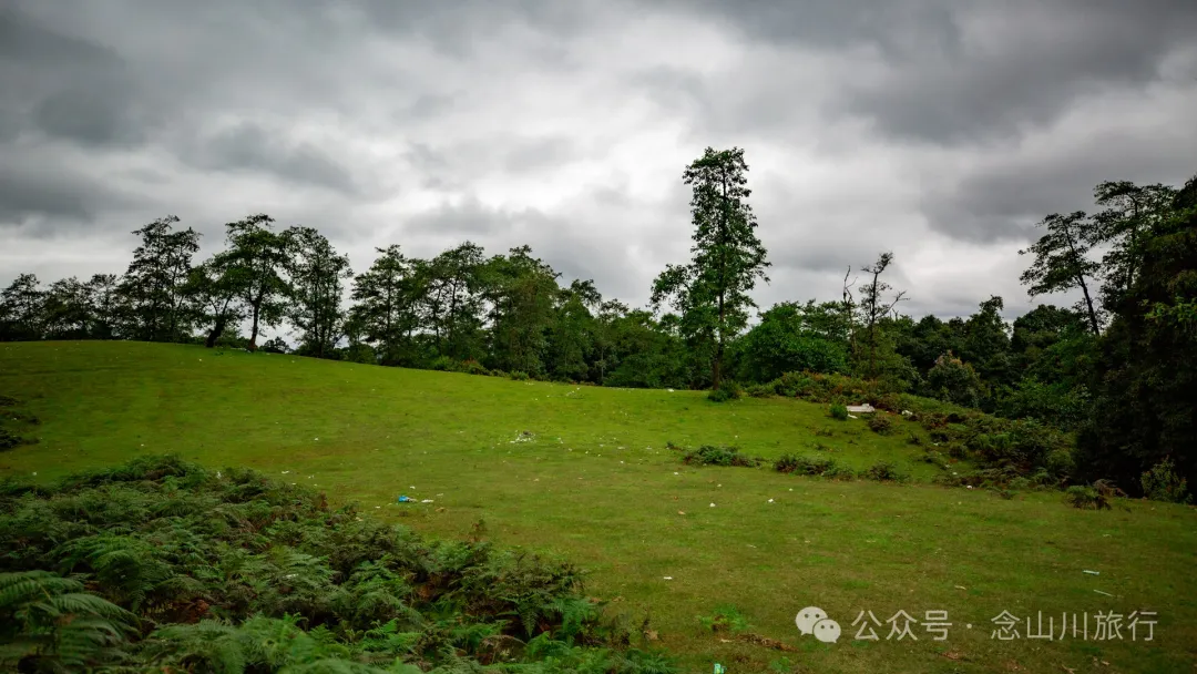 Bahuanhe Grassland: A Hidden Gem in Lincang Yun County, A New Pastoral Poem by the Lancang River - Image 14