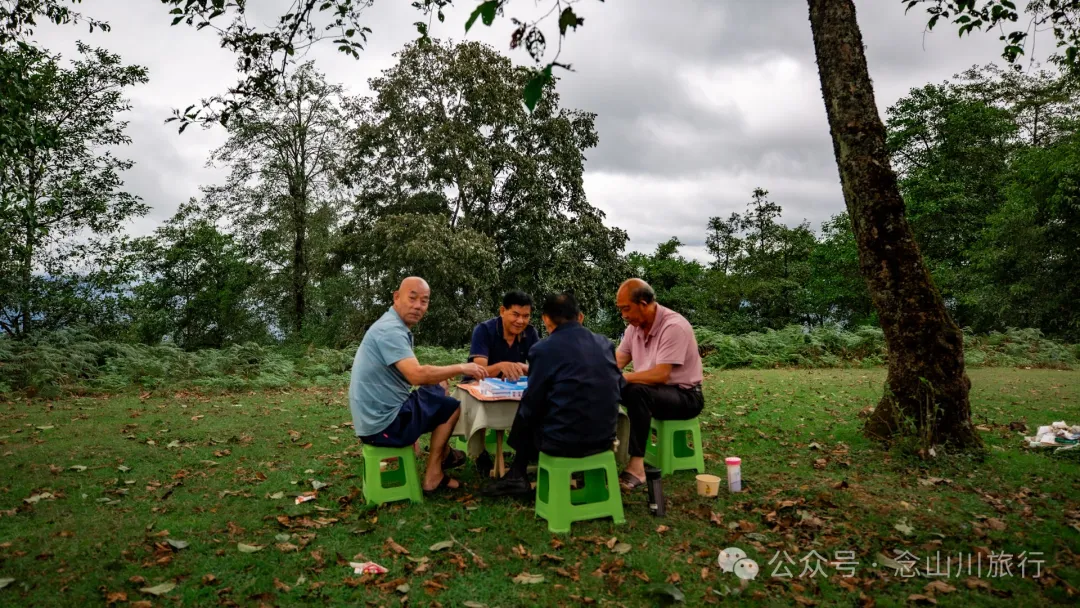 Bahuanhe Grassland: A Hidden Gem in Lincang Yun County, A New Pastoral Poem by the Lancang River - Image 15