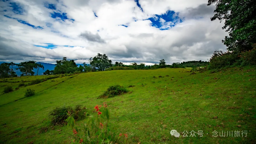Bahuanhe Grassland: A Hidden Gem in Lincang Yun County, A New Pastoral Poem by the Lancang River - Image 2