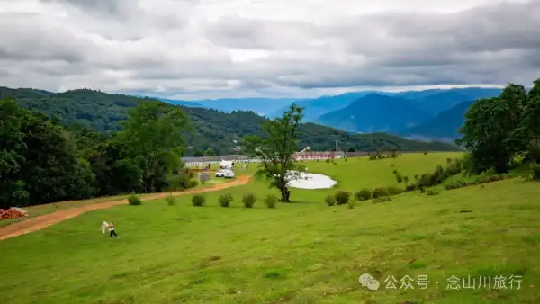 拔还河大草原:临沧云县的小众秘境,澜沧江畔草原牧歌的新诗篇