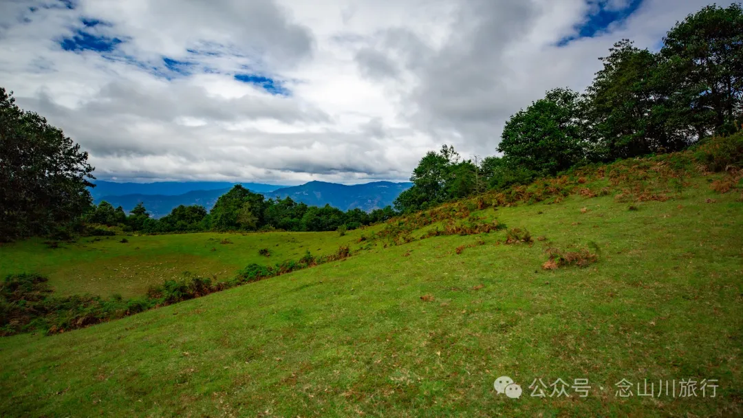 Bahuanhe Grassland: A Hidden Gem in Lincang Yun County, A New Pastoral Poem by the Lancang River - Image 23