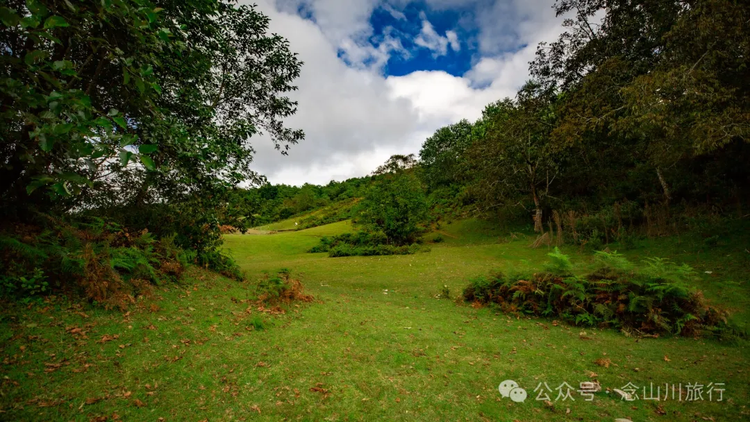 Bahuanhe Grassland: A Hidden Gem in Lincang Yun County, A New Pastoral Poem by the Lancang River - Image 24