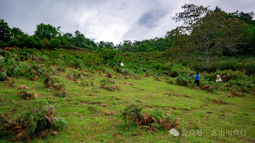 Bahuanhe Grassland: A Hidden Gem in Lincang Yun County, A New Pastoral Poem by the Lancang River - Image 25