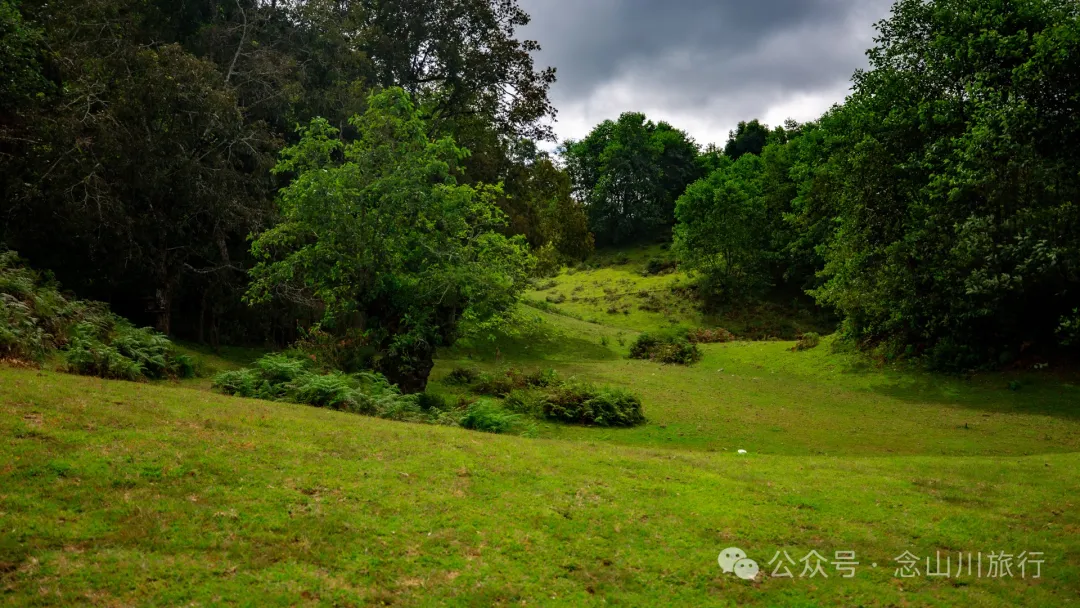 Bahuanhe Grassland: A Hidden Gem in Lincang Yun County, A New Pastoral Poem by the Lancang River - Image 26