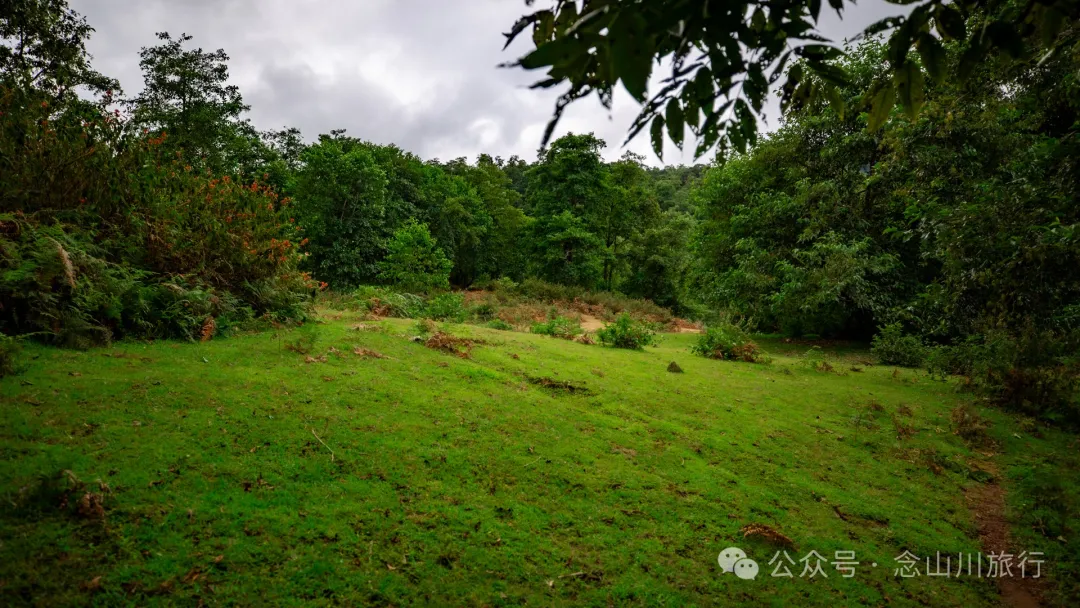Bahuanhe Grassland: A Hidden Gem in Lincang Yun County, A New Pastoral Poem by the Lancang River - Image 27