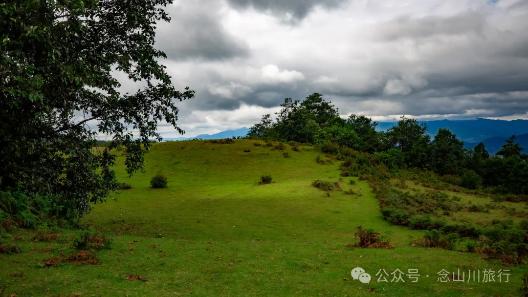 Bahuanhe Grassland: A Hidden Gem in Lincang Yun County, A New Pastoral Poem by the Lancang River - Image 32