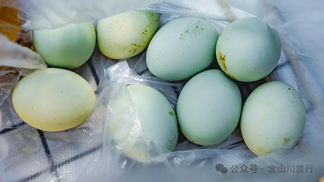 大理巍山大黄草坝：田园风光中的理想村落 - 第23张