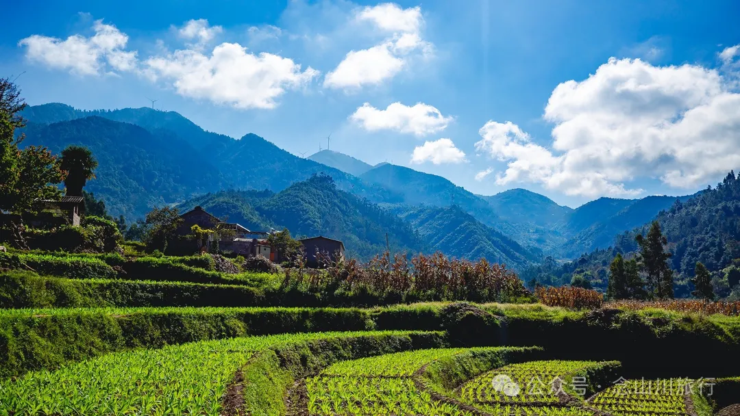 大理巍山大黄草坝：田园风光中的理想村落 - 第3张