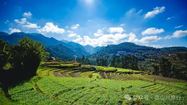 大理巍山大黄草坝:田园风光中的理想村落
