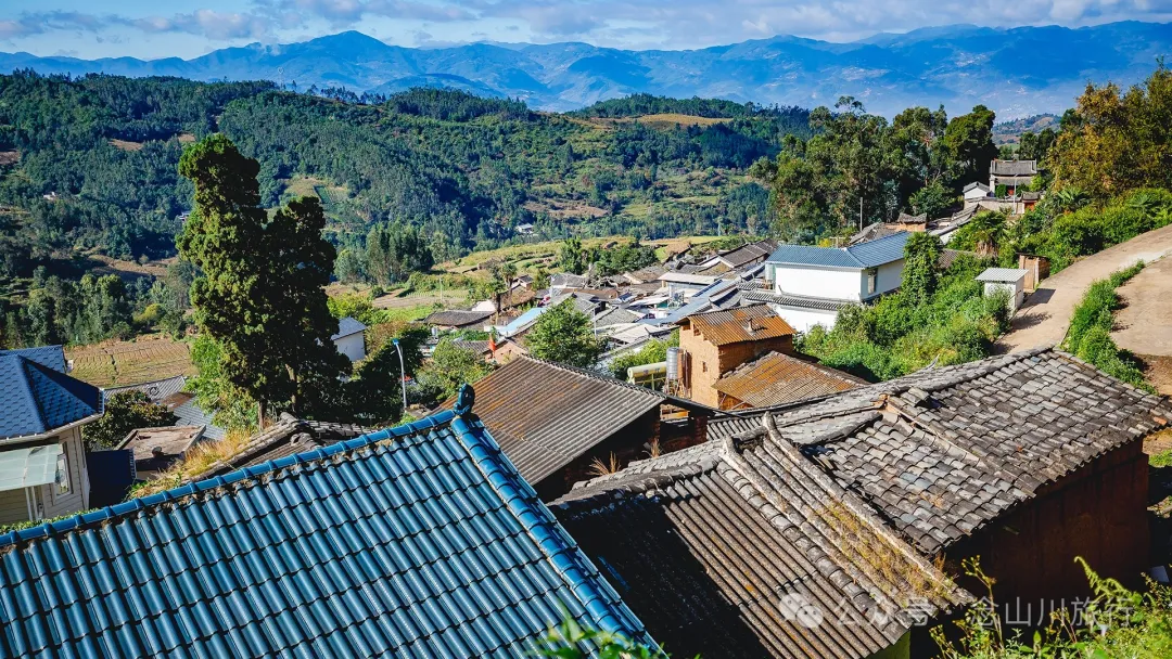 大理巍山大黄草坝：田园风光中的理想村落 - 第6张