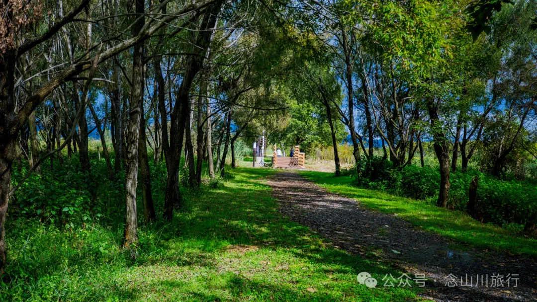 大理罗时江生态湿地公园:在洱海之源寻找一片纯净的秋色 - 第18张