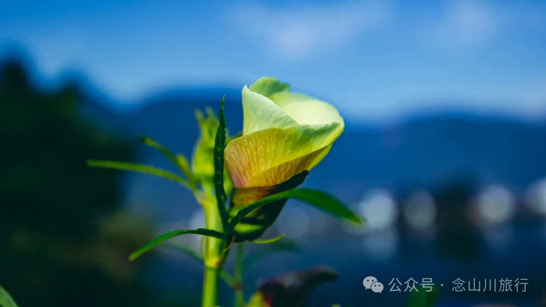 大理洱源西湖白族村落南登村:静谧的田园风光与丰饶的农耕文化 - 第19张