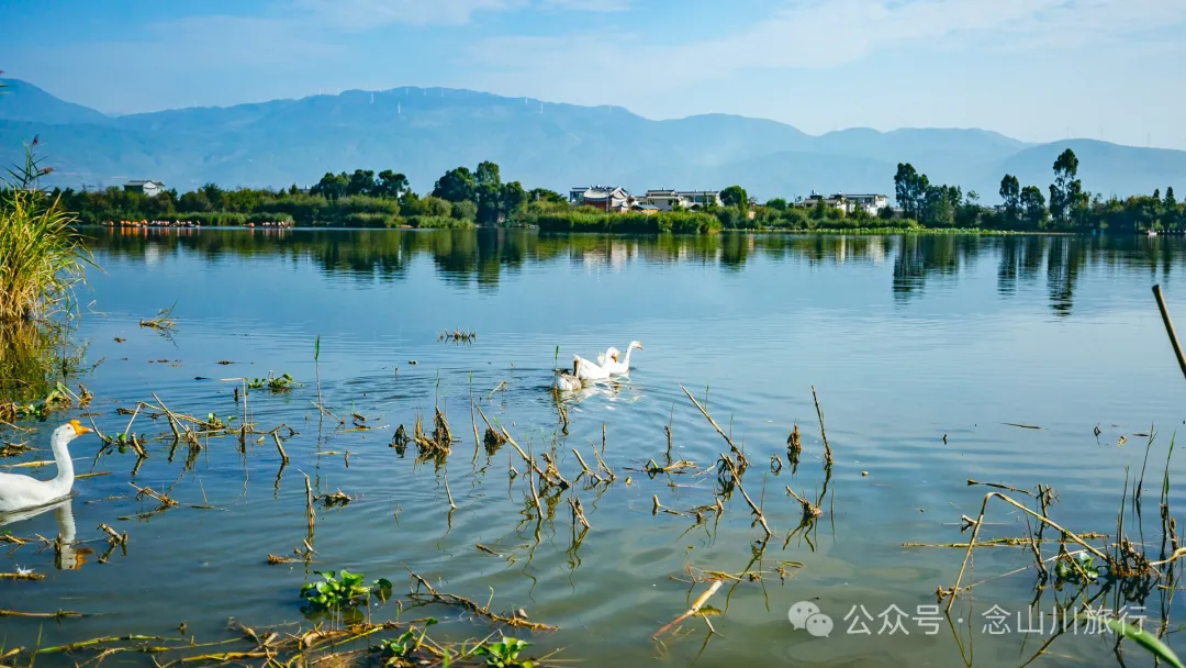 大理洱源西湖白族村落南登村:静谧的田园风光与丰饶的农耕文化 - 第21张