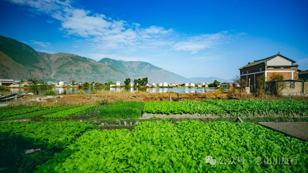 大理洱源西湖白族村落南登村:静谧的田园风光与丰饶的农耕文化 - 第3张