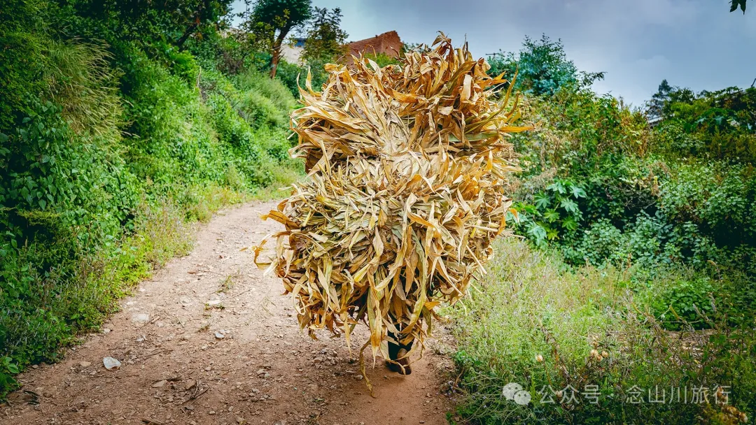 Duoyu Village in Weishan, Dali: A Peaceful Village Amidst Lush Mountain Scenery - Image 26