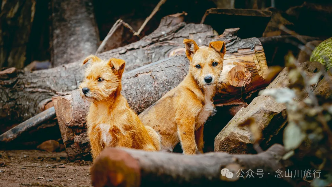Duoyu Village in Weishan, Dali: A Peaceful Village Amidst Lush Mountain Scenery - Image 31