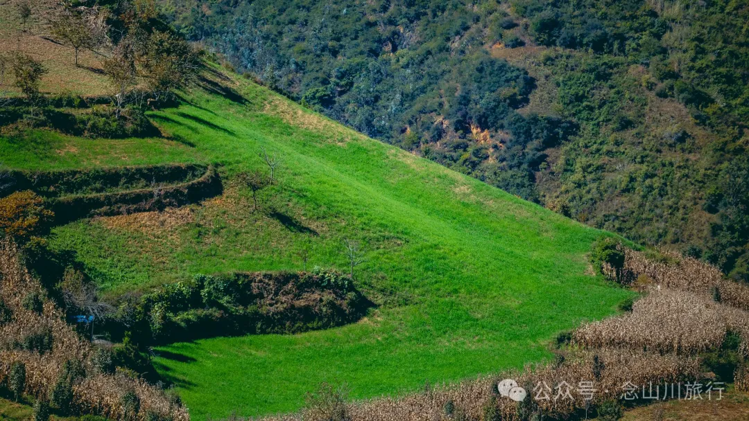 大理巍山封川塔：登清朝古塔，览蒙舍冬景，赏山中黄叶 - 第23张