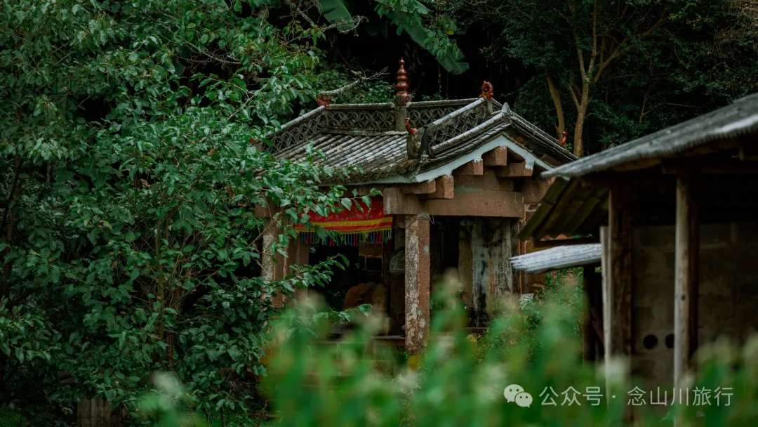 探访大理巍山小塘子黑龙潭(灵泉)，两块清代石碑讲述一段环保历史 - 第10张