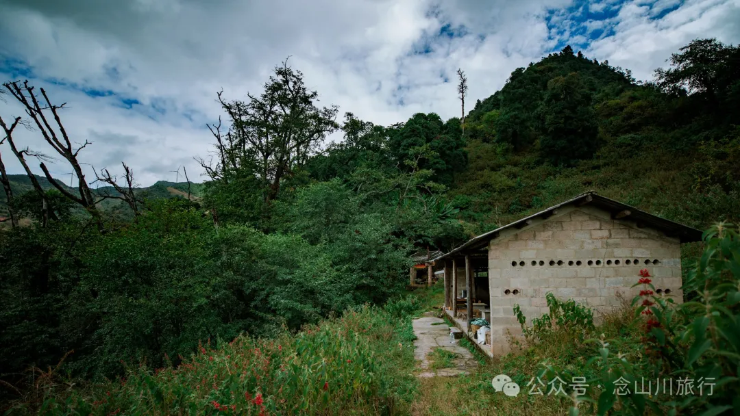 探访大理巍山小塘子黑龙潭(灵泉)，两块清代石碑讲述一段环保历史 - 第12张