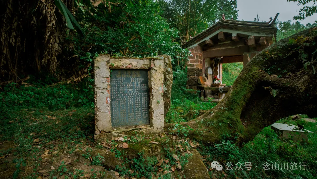 探访大理巍山小塘子黑龙潭(灵泉)，两块清代石碑讲述一段环保历史 - 第13张