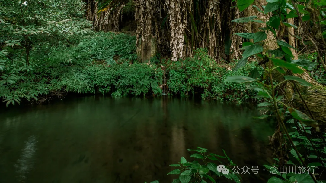 探访大理巍山小塘子黑龙潭(灵泉)，两块清代石碑讲述一段环保历史 - 第14张