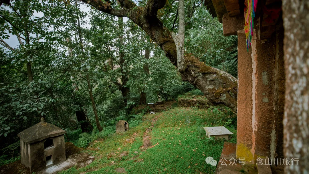 探访大理巍山小塘子黑龙潭(灵泉)，两块清代石碑讲述一段环保历史 - 第16张