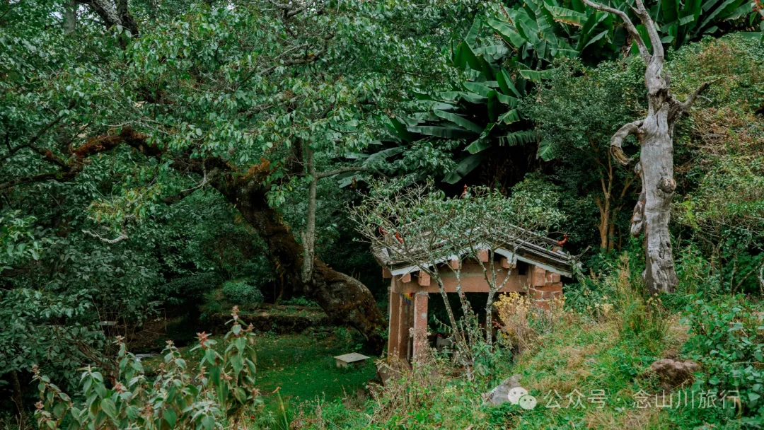 探访大理巍山小塘子黑龙潭(灵泉)，两块清代石碑讲述一段环保历史 - 第3张