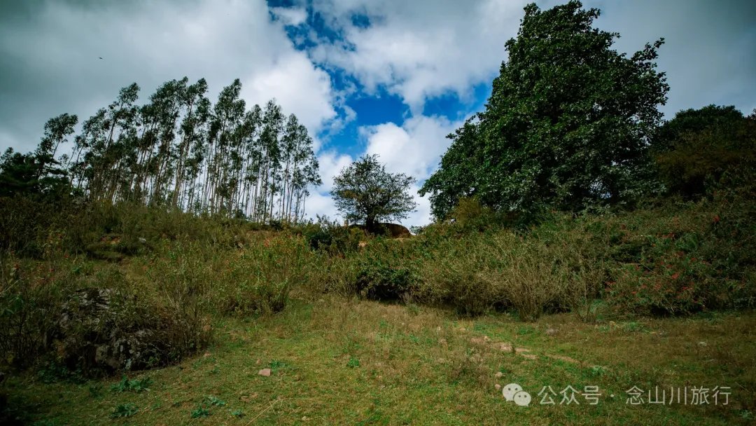 探访大理巍山小塘子黑龙潭(灵泉)，两块清代石碑讲述一段环保历史 - 第5张