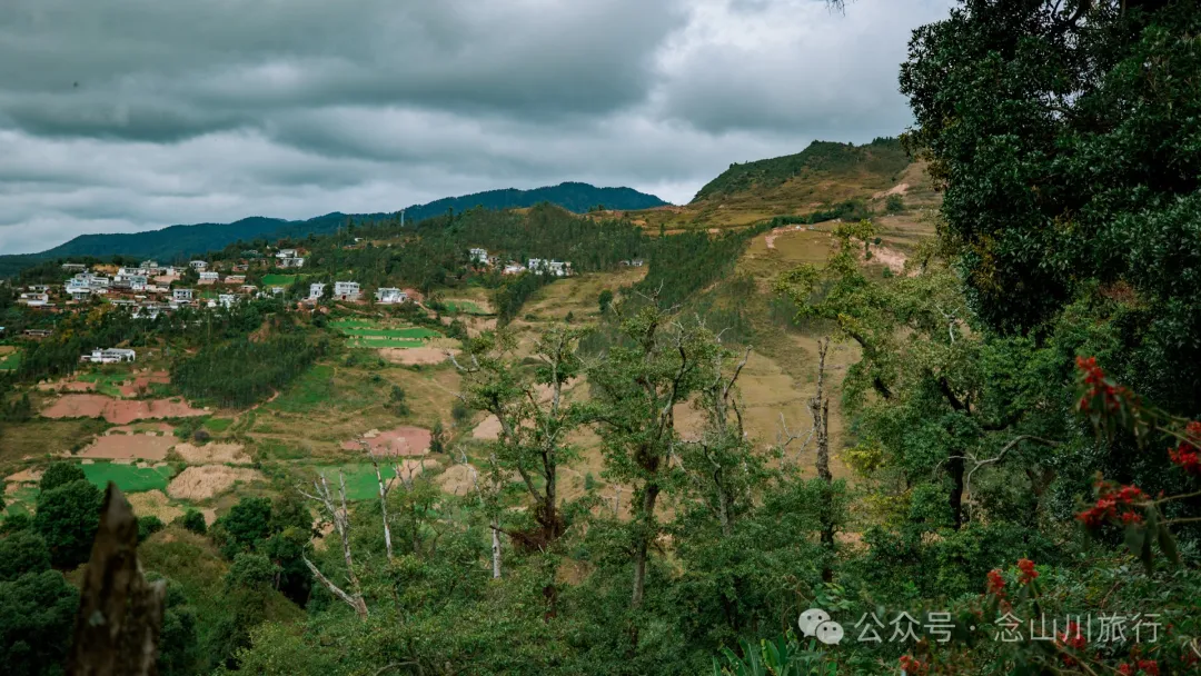 探访大理巍山小塘子黑龙潭(灵泉)，两块清代石碑讲述一段环保历史 - 第9张