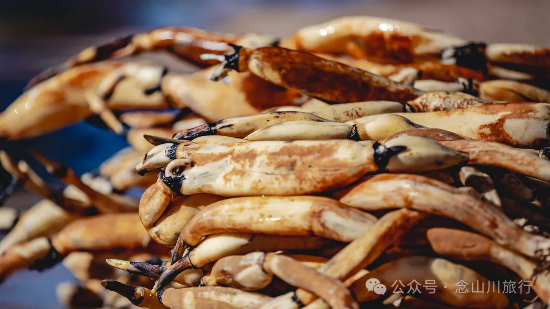 Shuangdui Village in Weishan, Dali: Winter Harvest Hidden in the Mud (Lotus Roots and Arrowheads) - Image 13