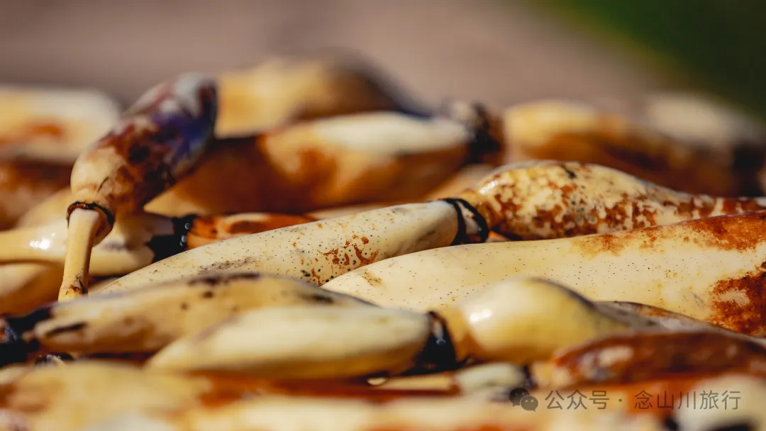 Shuangdui Village in Weishan, Dali: Winter Harvest Hidden in the Mud (Lotus Roots and Arrowheads) - Image 3