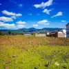 大理巍山双堆村：冬天藏在泥土里的收获(莲藕和茨菇)
