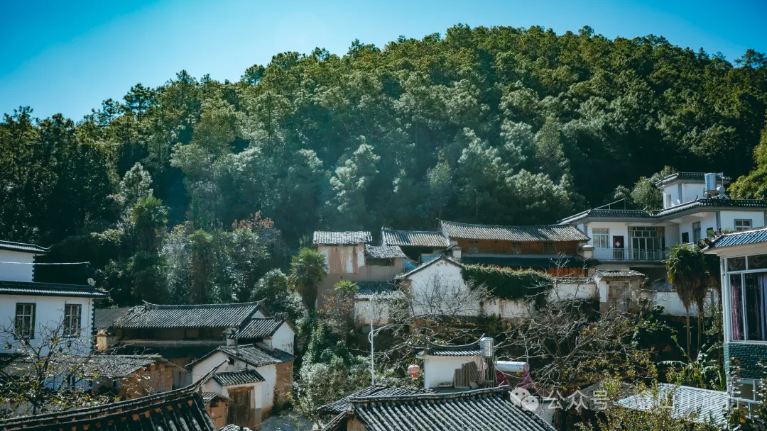 大理巍山翁家丫口村:一段村庄的历史,一个老人的生活,一棵树的光阴 - 第13张