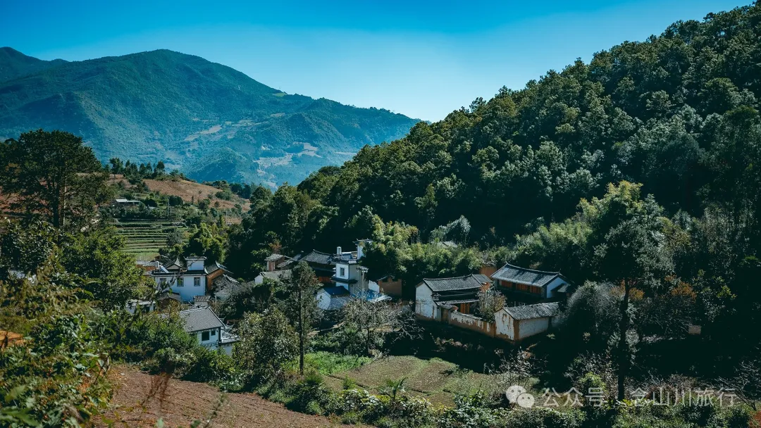 大理巍山翁家丫口村:一段村庄的历史,一个老人的生活,一棵树的光阴 - 第14张